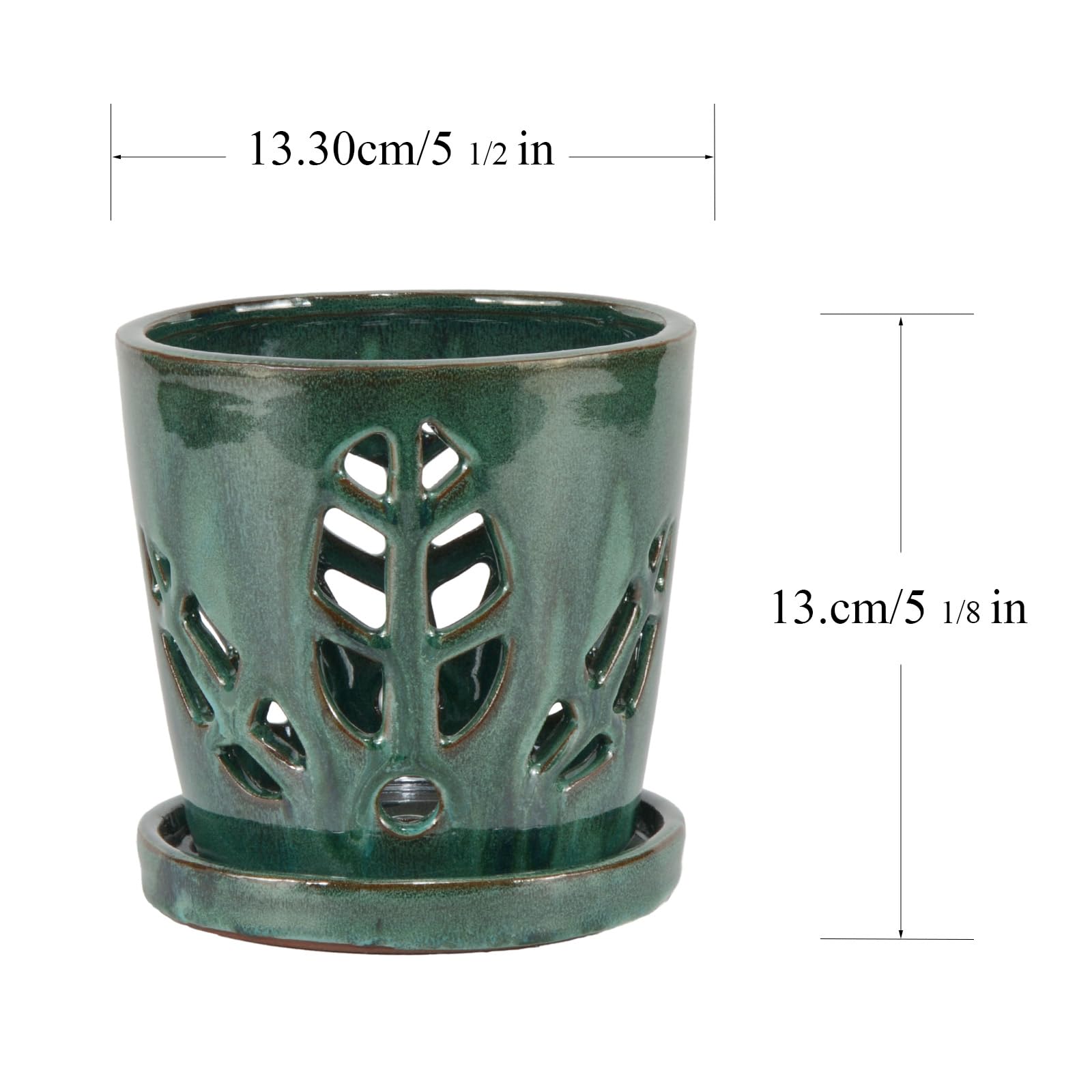 W&W orchid pot size comparison in hand showing compact footprint and scale