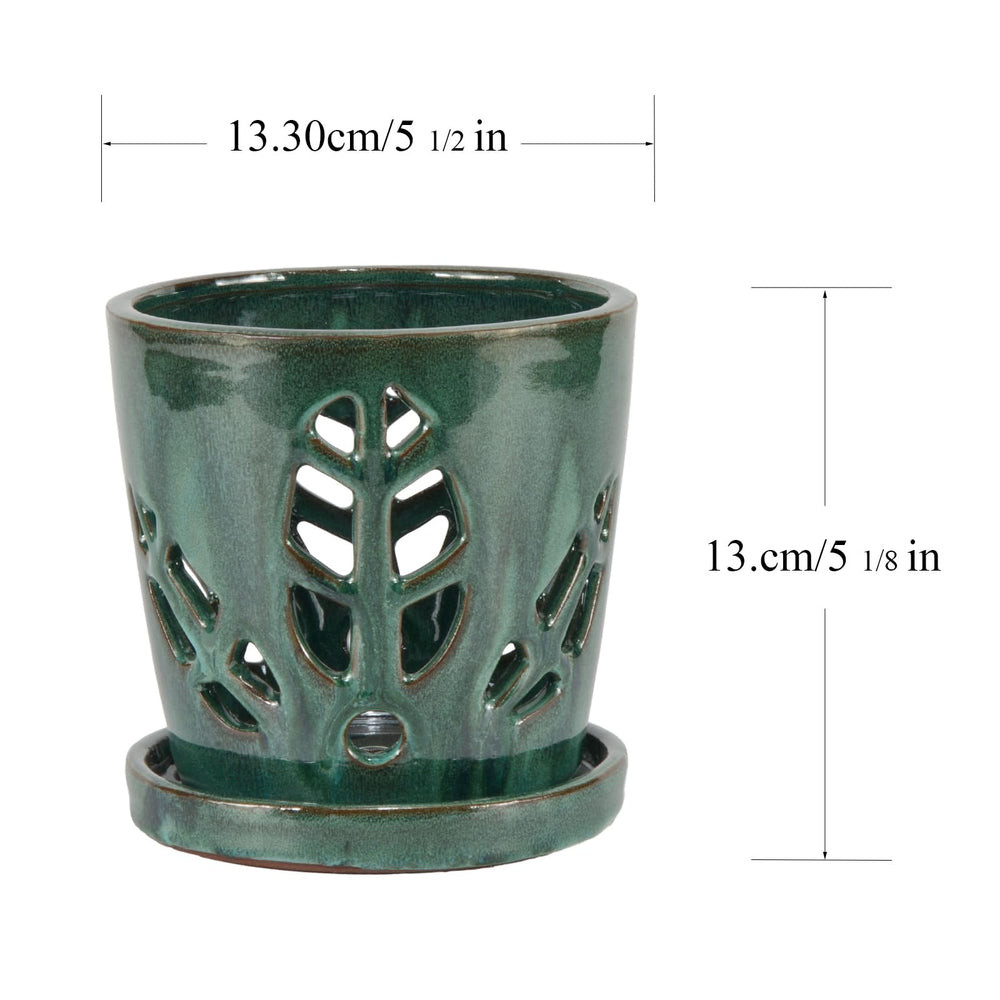 W&W orchid pot size comparison in hand showing compact footprint and scale
