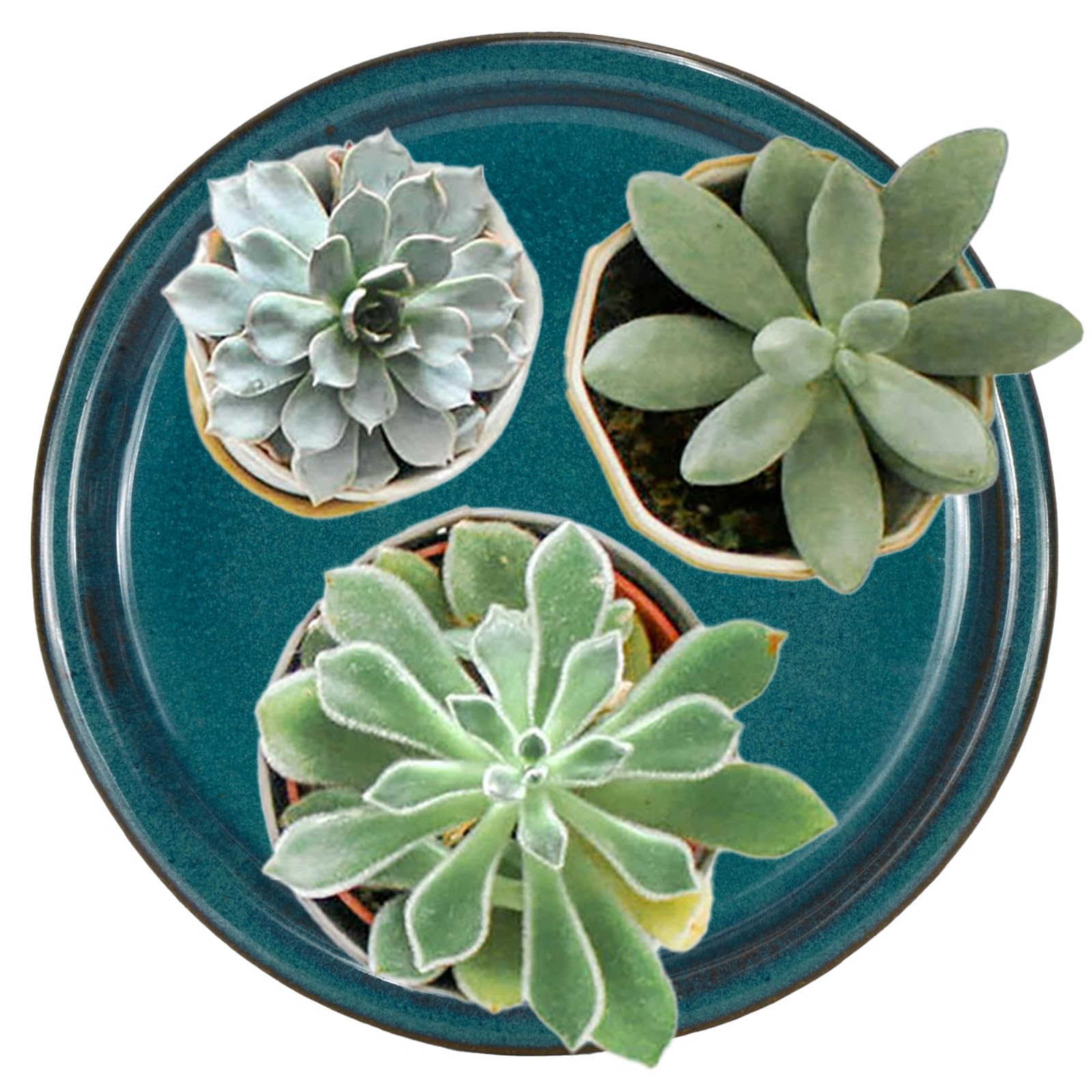 W&W teal saucer on window sill in use protecting furniture from water