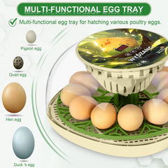 WYD2ANG Chirvy egg tray detail showing automatic turner for even development