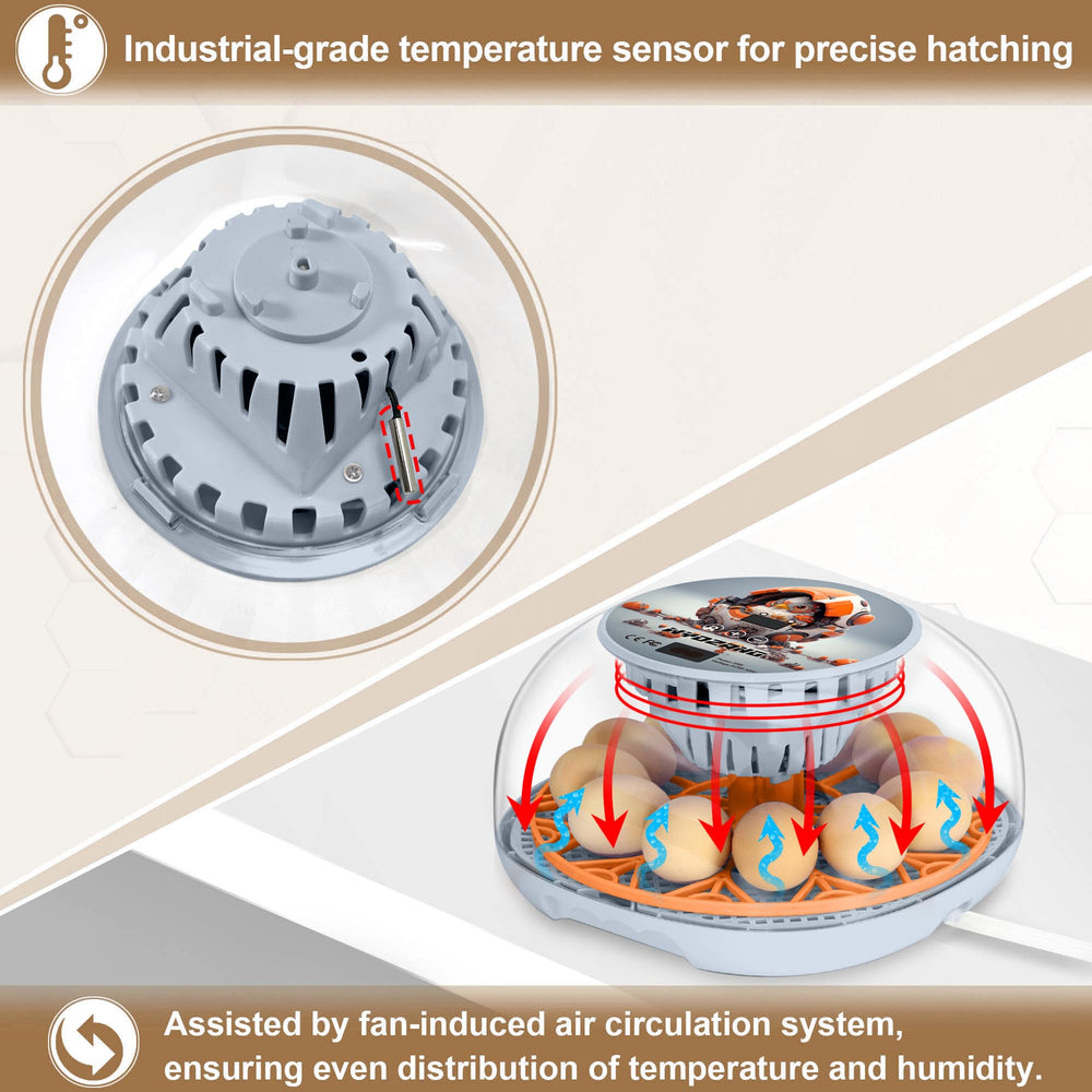 WYD2ANG transparent dome offering 360-degree visibility for monitoring