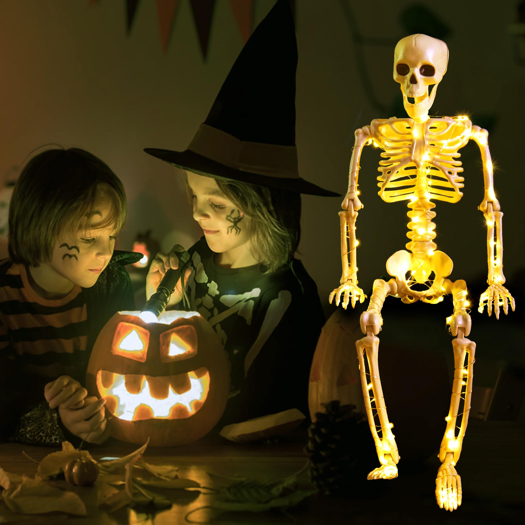 wymulot skeleton beside chair showing 24-inch scale for proper display planning