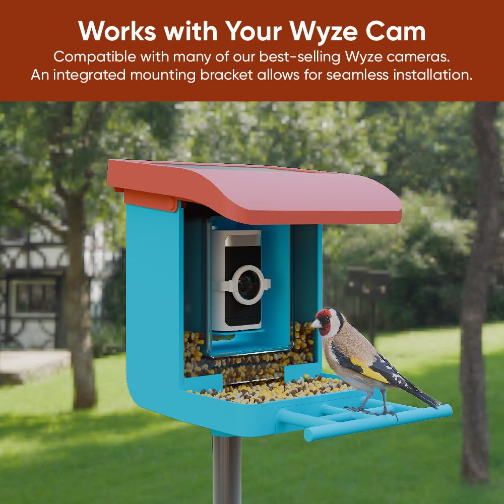 Wyze Lifestyle macro lens close-up demonstrating sharpened close-up bird detail