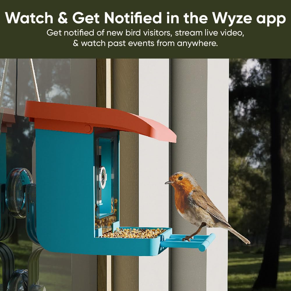 Wyze Lifestyle feeder with compatible Wyze camera installed for clear viewing benefit