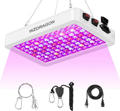 WZDRAGON BW1000 front view showing fixture and canopy-ready design, improves light uniformity