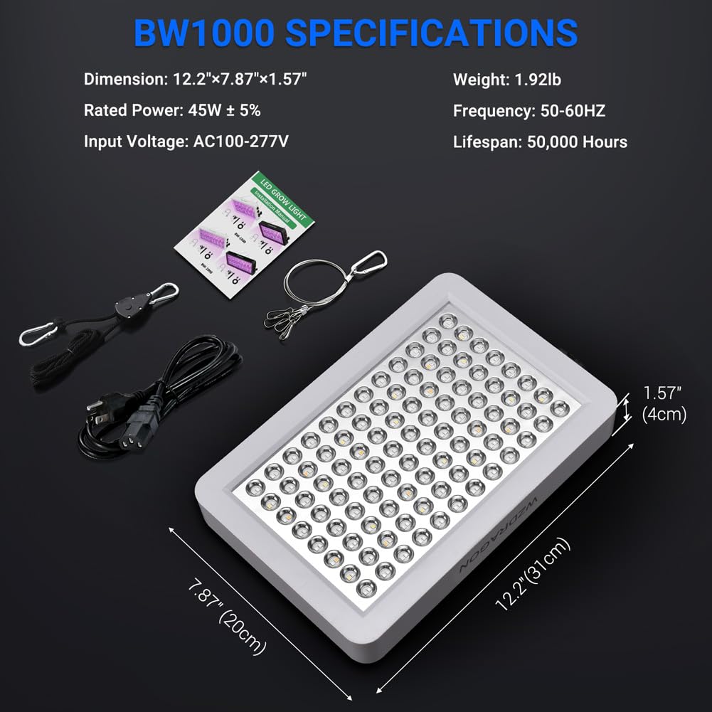 WZDRAGON BW1000 held in hands to show scale and installer-friendly compact size