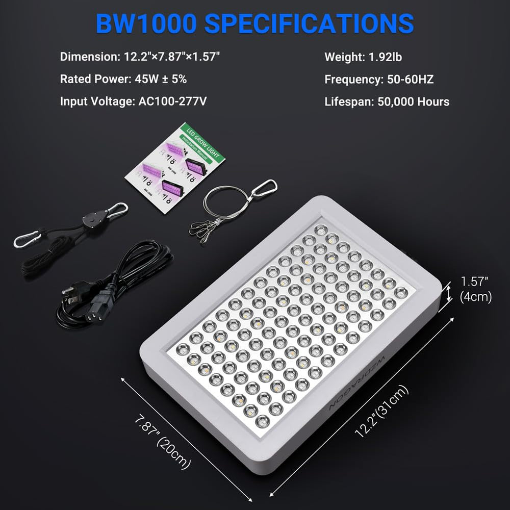 WZDRAGON BW1000 held in hands to show scale and installer-friendly compact size