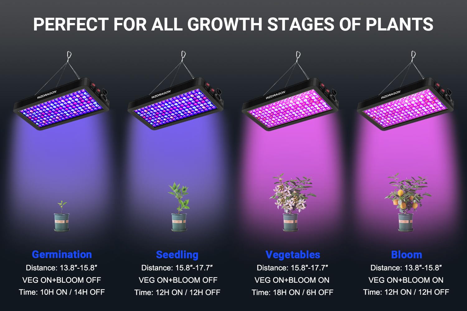 WZDRAGON BW1000 in veg mode lighting leafy plants to promote compact growth