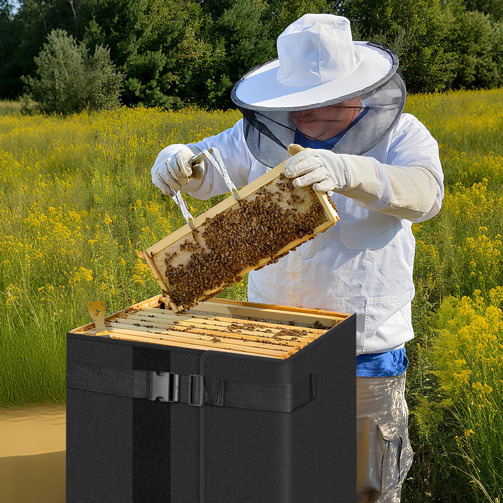 X-Kingsun next to frames showing size for 8 and 10-frame hives, ensures fit