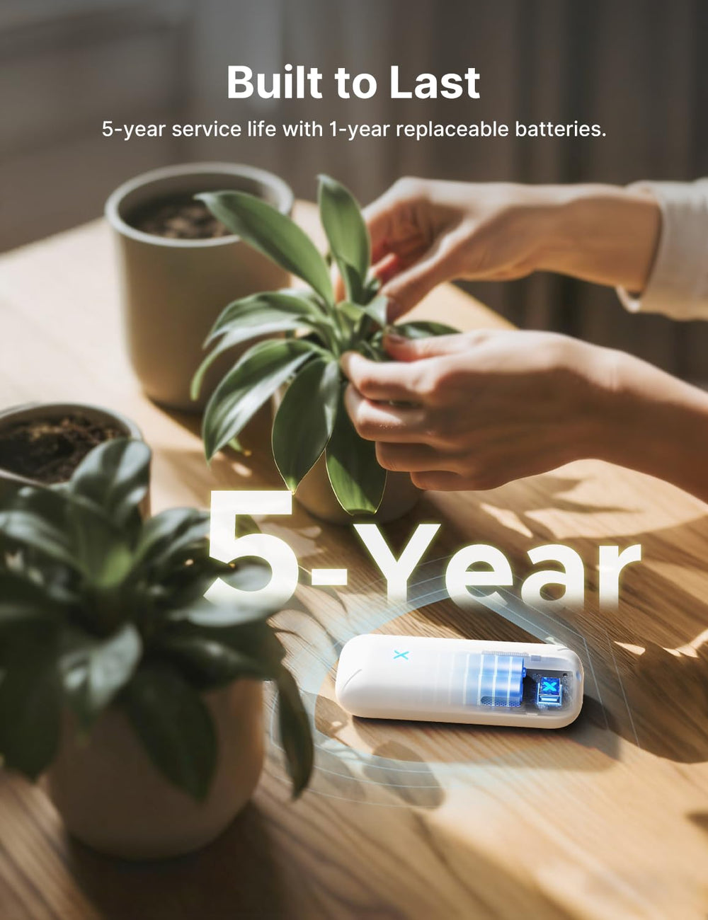 X-Sense sensor placed among houseplants demonstrating VPD and moisture control