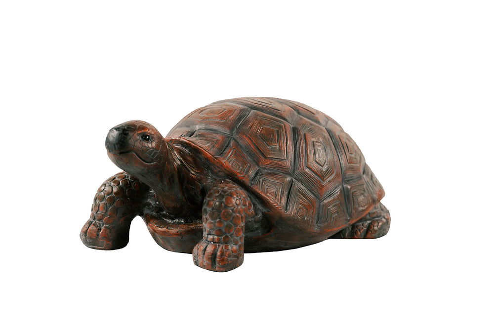 XBrand turtle front view showing lifelike details and welcoming charm