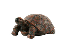 XBrand turtle front view showing lifelike details and welcoming charm
