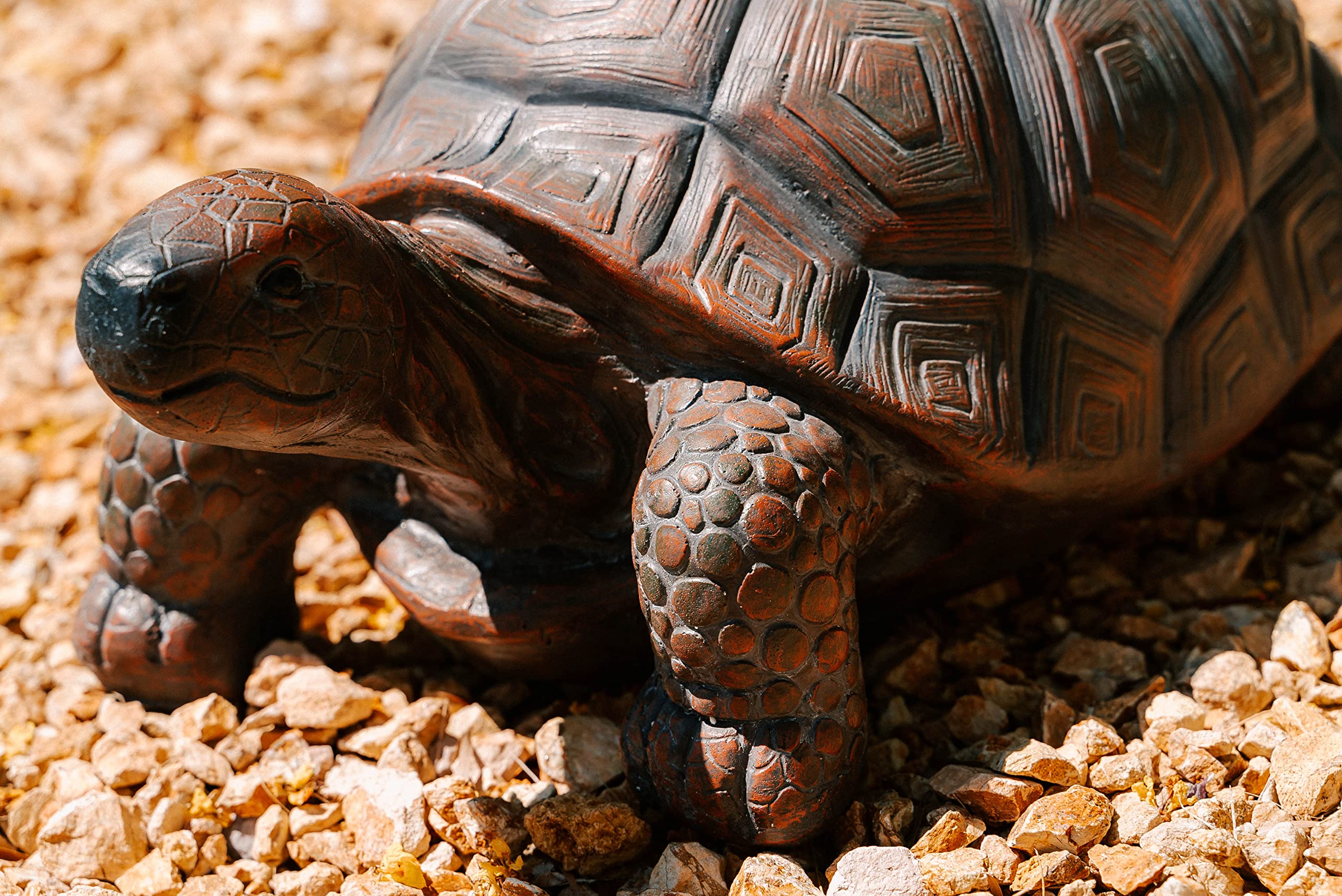 XBrand turtle beside potted plant showing scale and styling idea