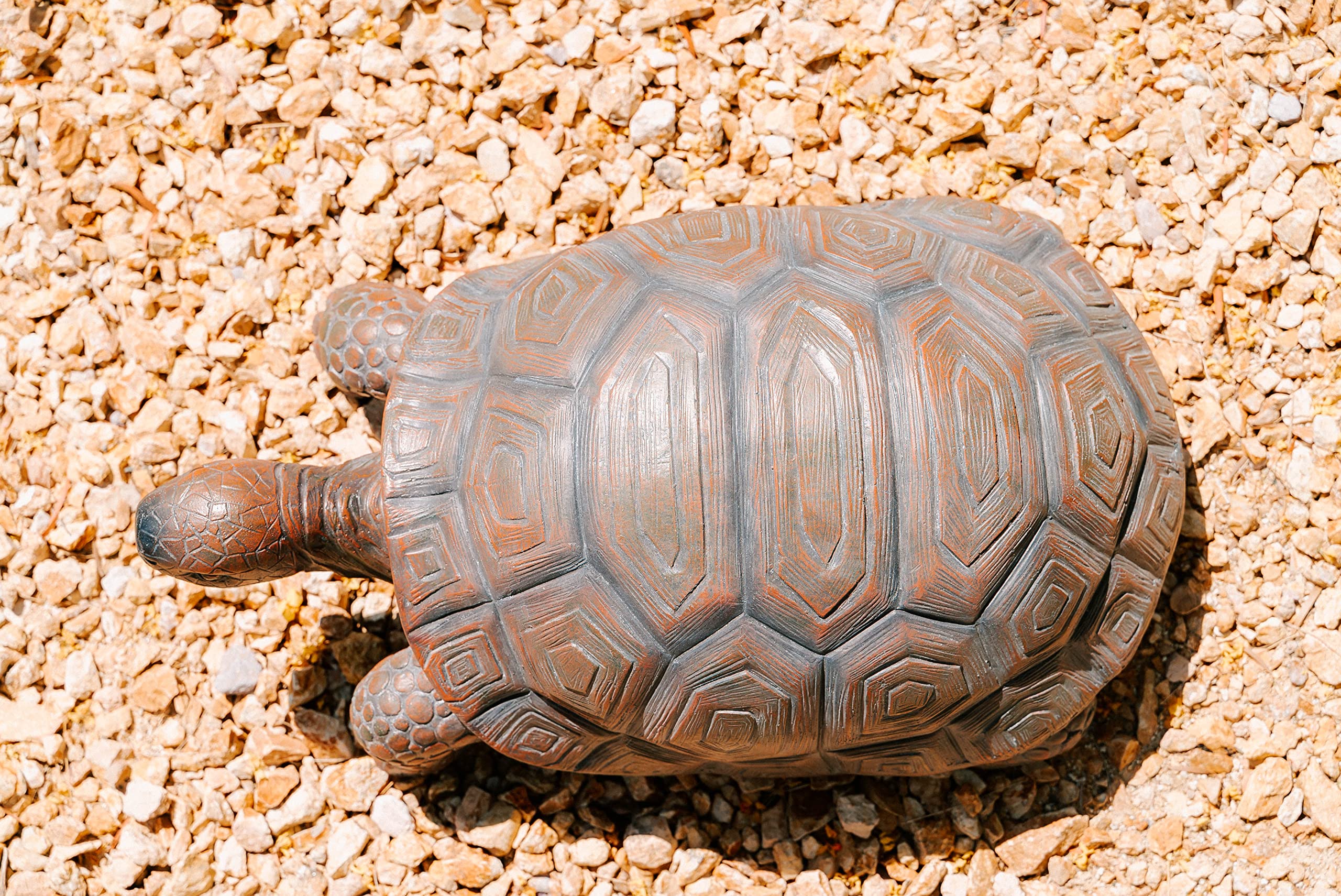 XBrand turtle next to ruler showing actual 21.3 inch size