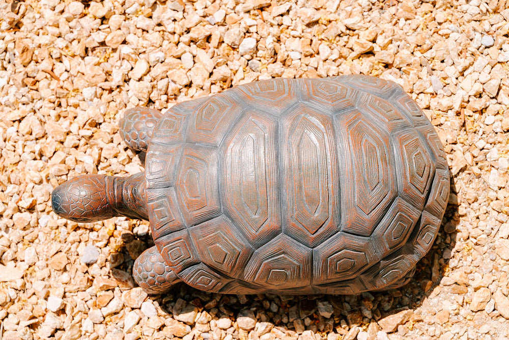 XBrand turtle next to ruler showing actual 21.3 inch size