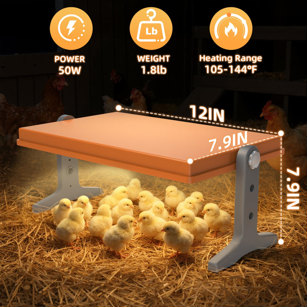 Xbrigh brooder in use with chicks enjoying stable warmth and comfort