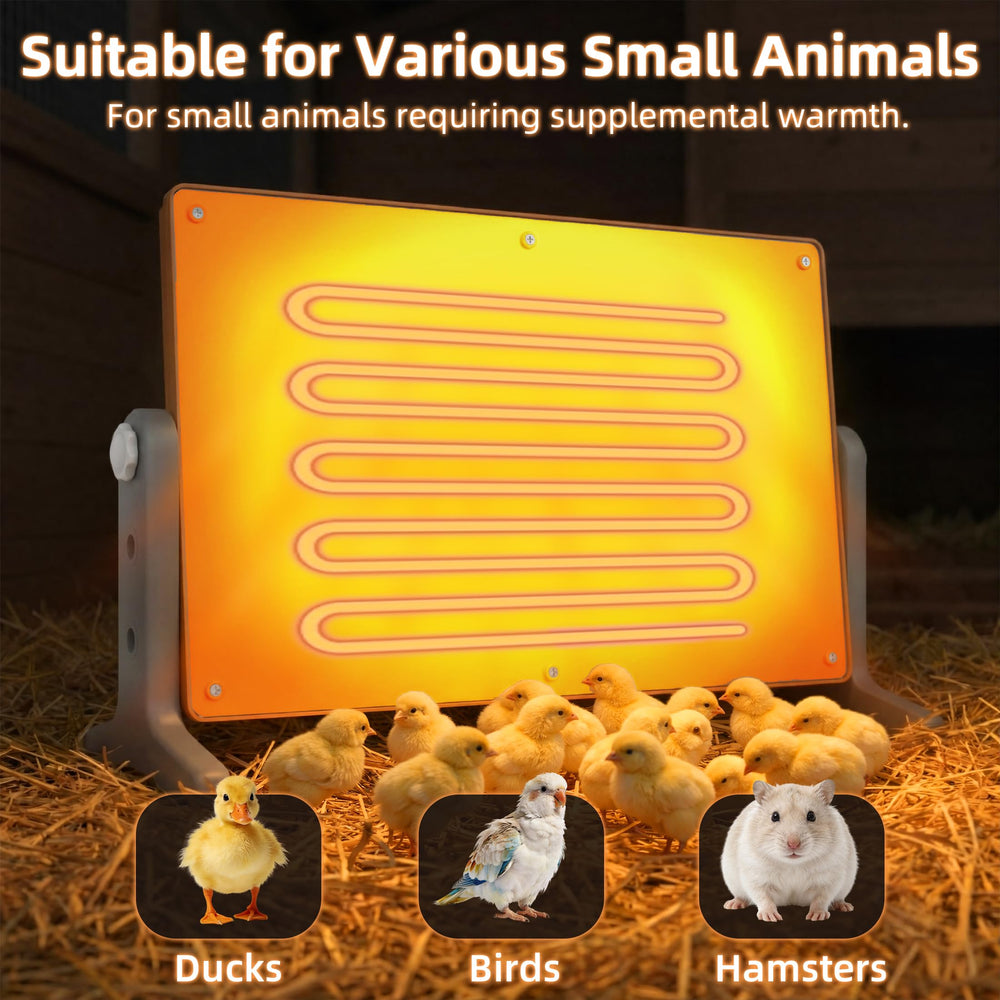 Xbrigh lifestyle setup with bedding showing cozy brooder area for chicks