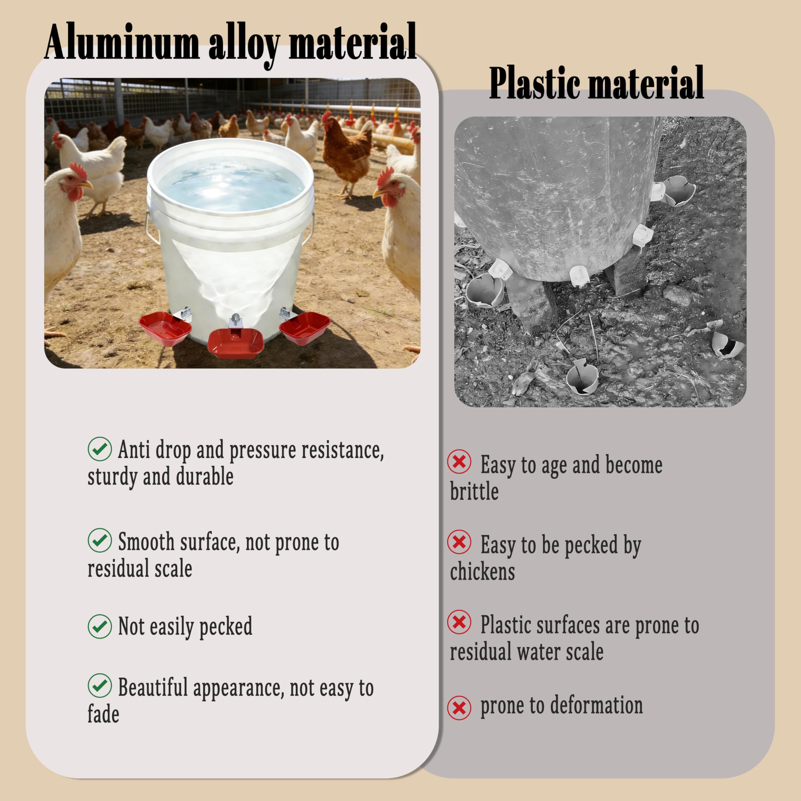 XCL XINCAI ROAD chicken drinking from cup demonstrating easy access and reduced waste