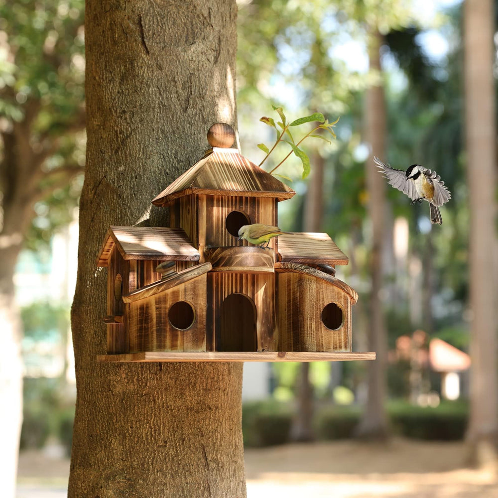 XDYGHH close detail of front perch and feeder area encouraging bird visits
