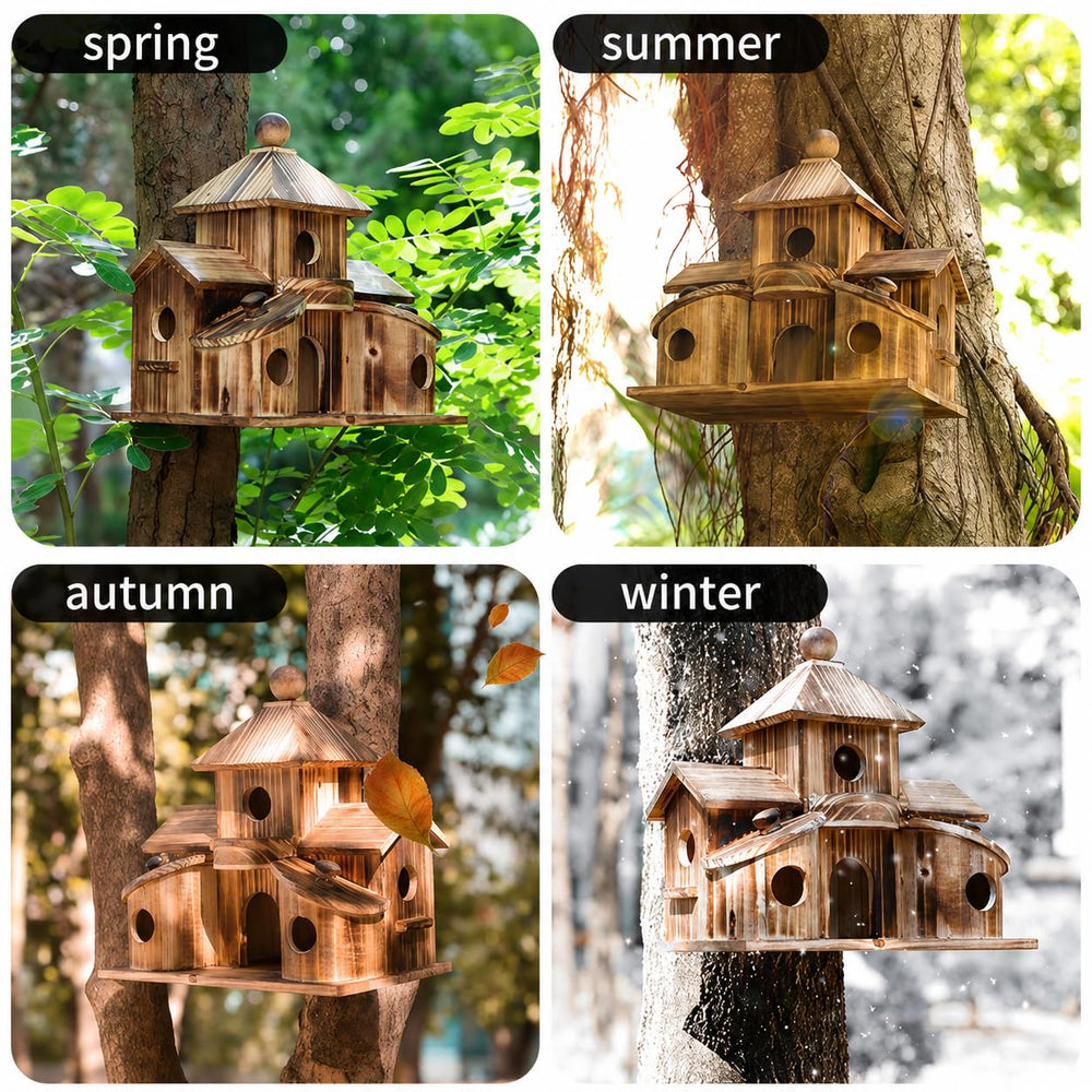 XDYGHH in a backyard scene showing decorative impact and bird-friendly habitat