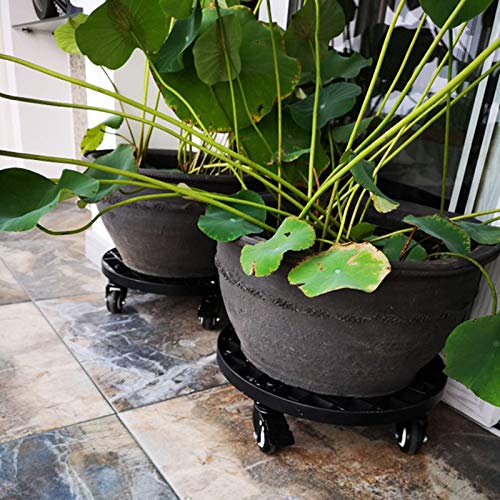 Xedragony patio lifestyle shot showing the caddy protecting floors and styling plants