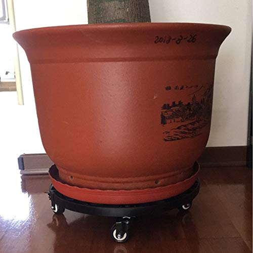 Xedragony boxed product with label showing dimensions and load capacity for buyer clarity