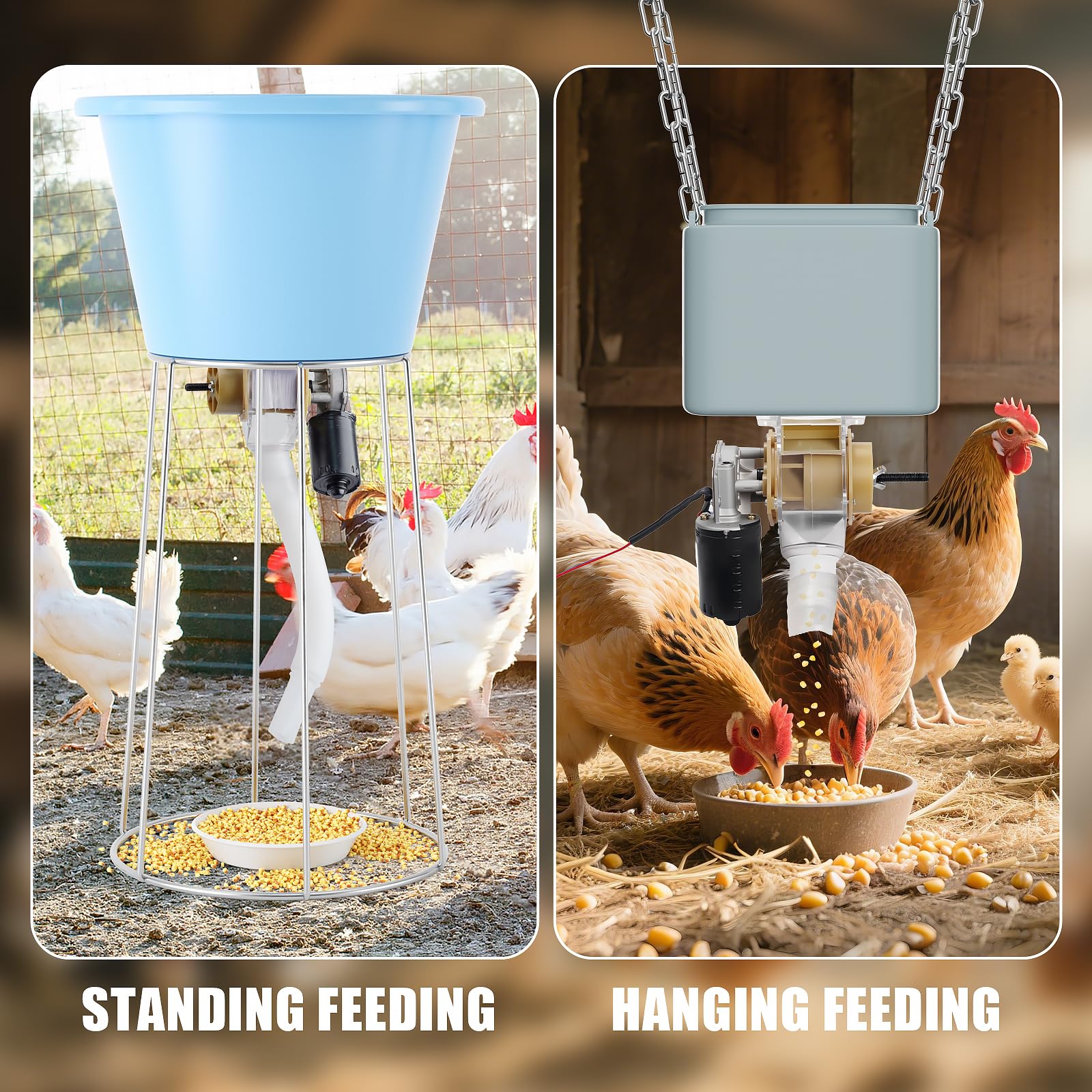 XIEEIX in a backyard with chickens benefiting owners with automated scheduled feeding