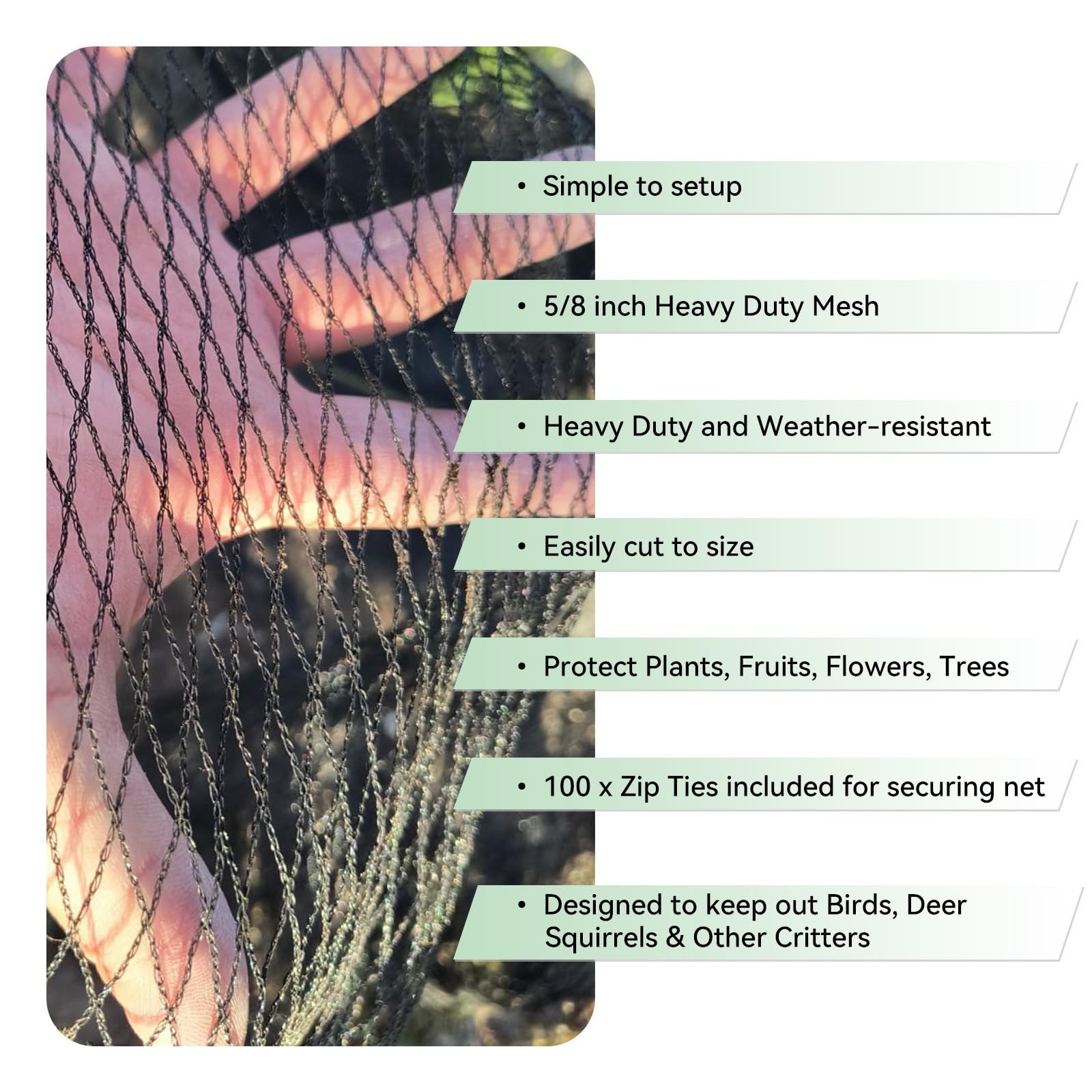 xihakey netting covering small orchard in backyard, seasonal garden protection