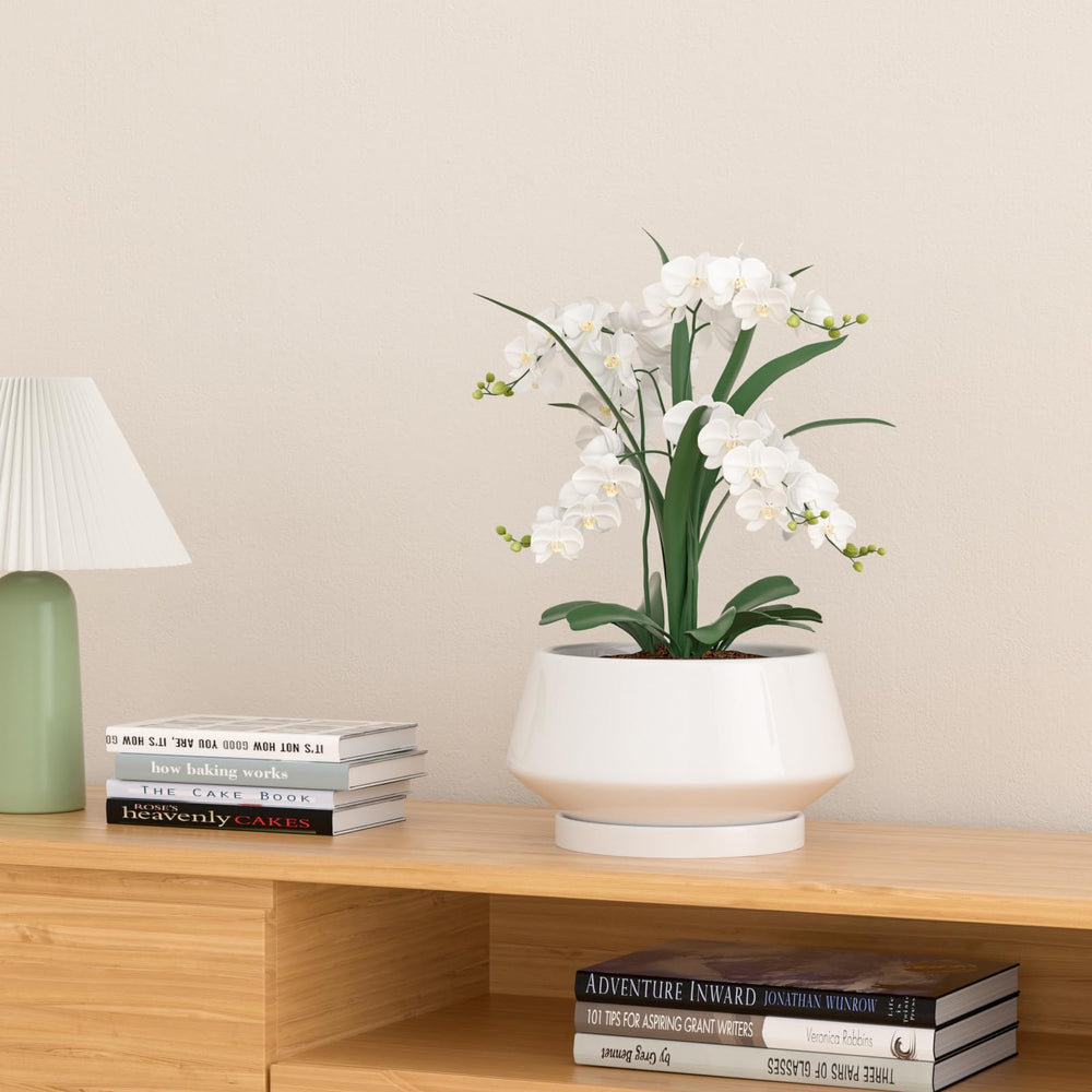 XiHuaer styled on wood table demonstrating decor-friendly appearance