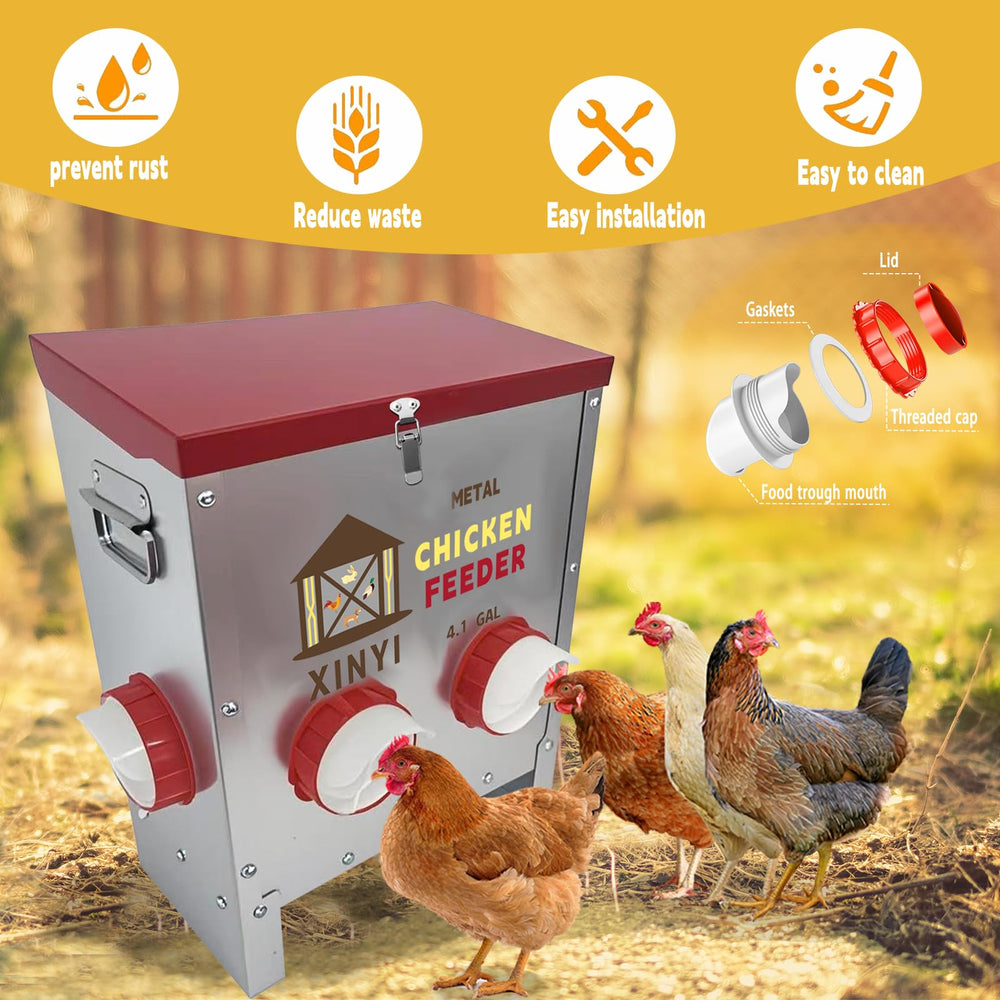 XINYI feeder with chickens eating depicting simultaneous feeding and reduced competition benefit