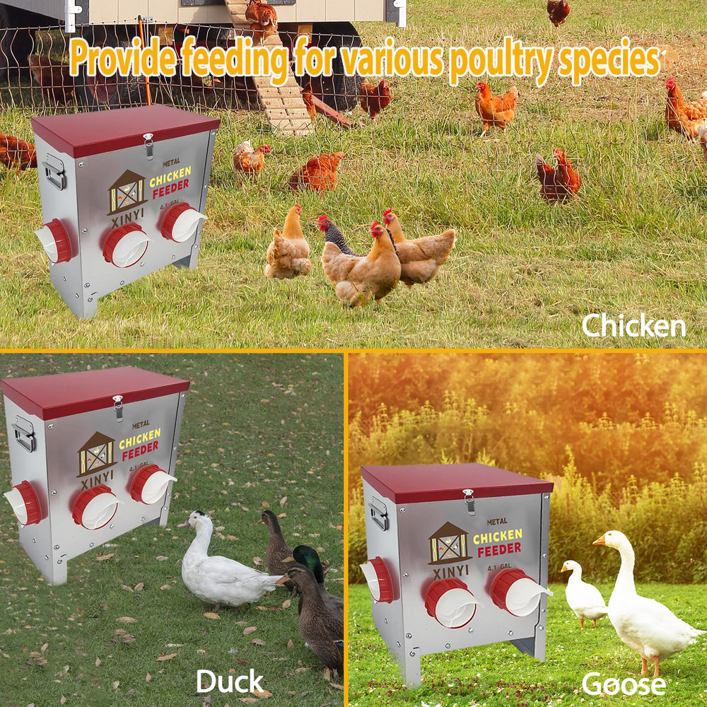 XINYI feeder placed inside outdoor coop illustrating weatherproof protection and organized feeding