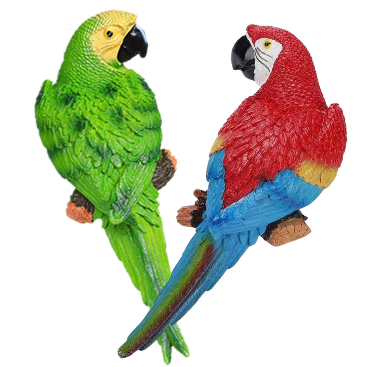 XKFLAUHM front view of two parrots showing bright colors and island vibe