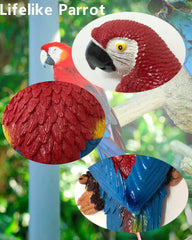 XKFLAUHM close-up of blue and red parrot texture highlighting realistic detail