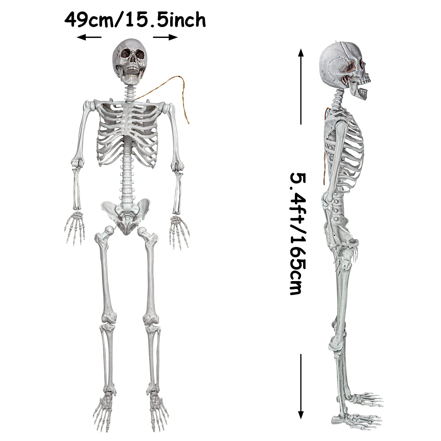 XONOR close-up of molded bone texture and movable joint showing realistic detail