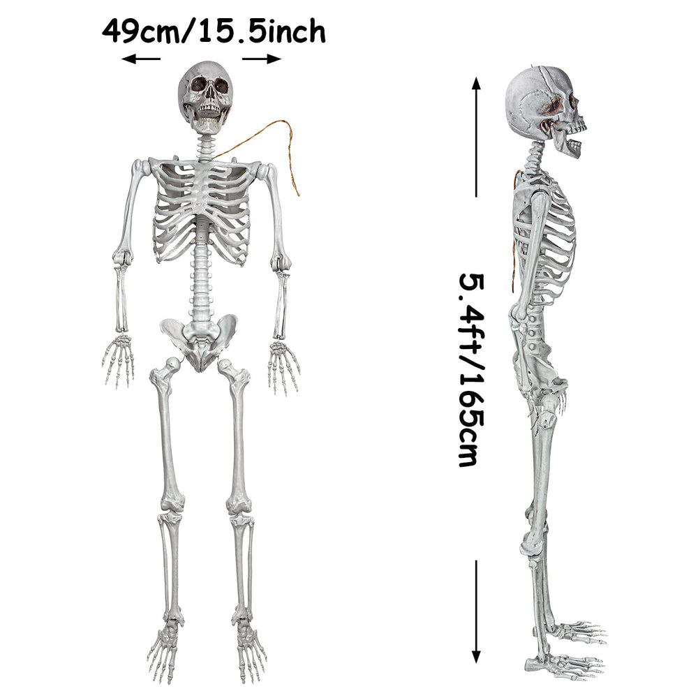 XONOR close-up of molded bone texture and movable joint showing realistic detail