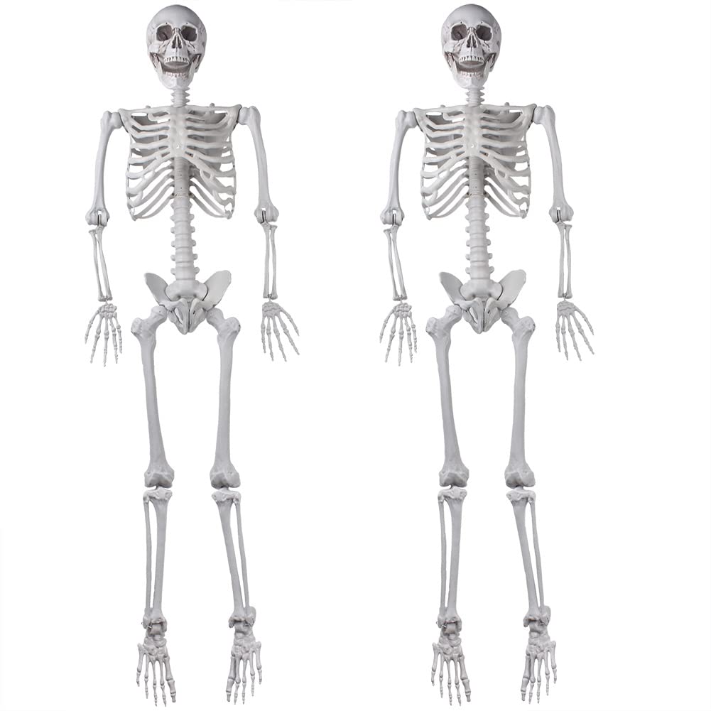 XONOR front view of two packaged skeletons ready for quick decoration