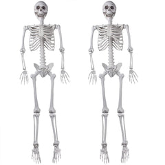 XONOR front view of two packaged skeletons ready for quick decoration