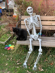 XONOR skeletons hanging on porch at night creating spooky curb appeal