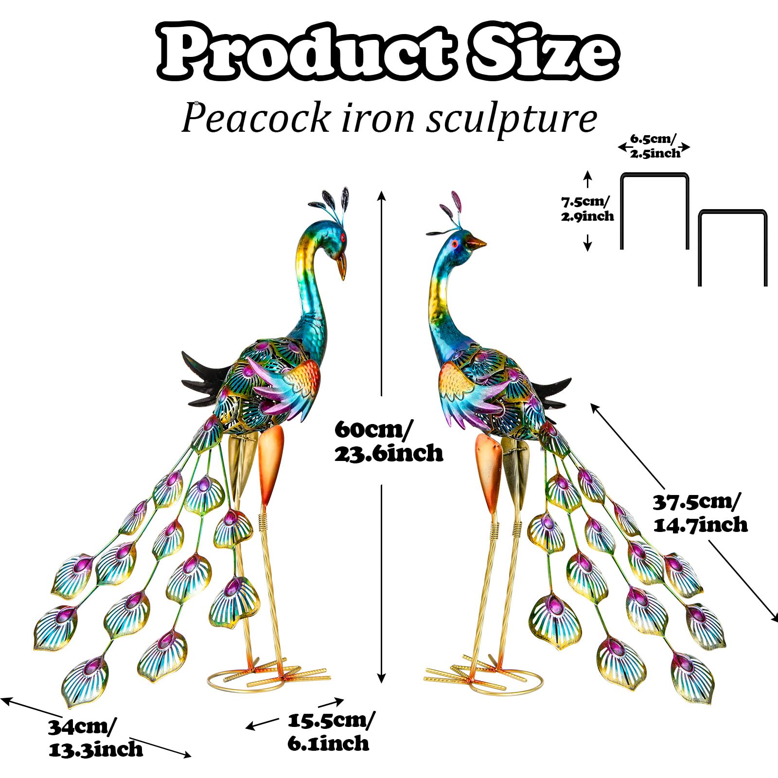 XONOR peacock side profile highlighting pose variety and garden charm