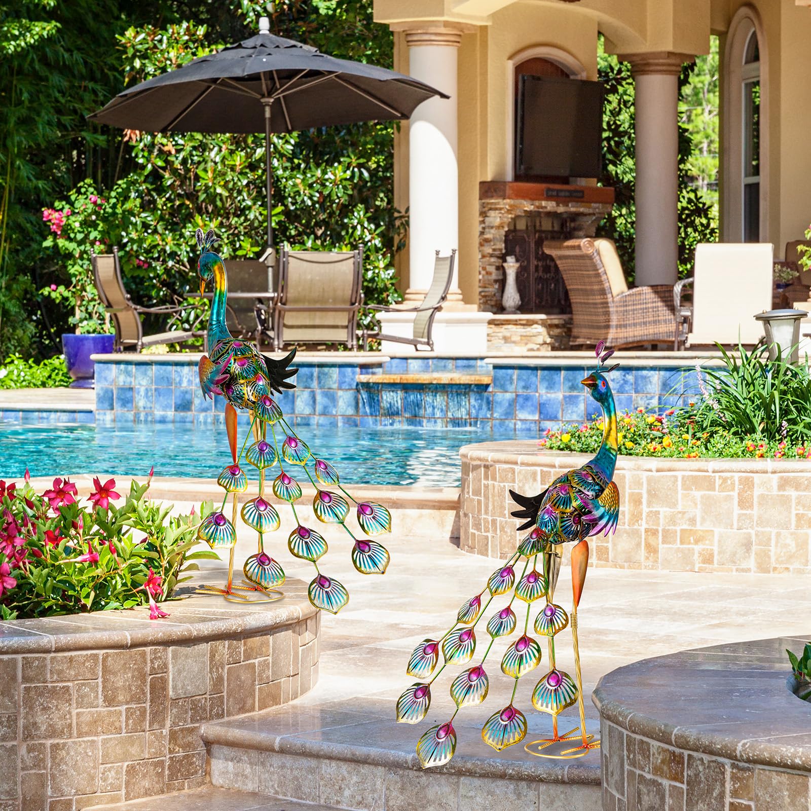 XONOR peacocks on patio styled scene adding vibrant focal point outdoors