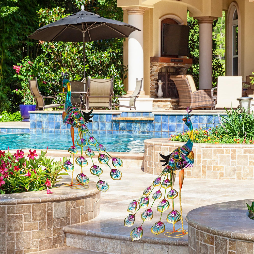 XONOR peacocks on patio styled scene adding vibrant focal point outdoors