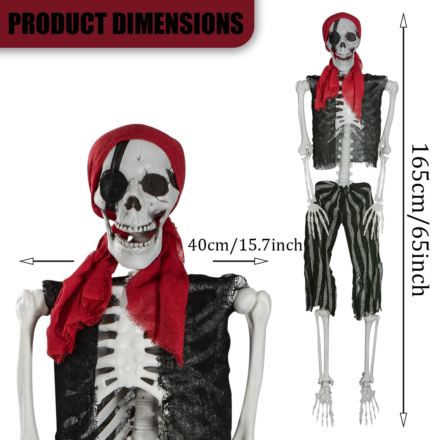 XONOR pirate skeleton skull close-up highlighting realistic bone texture and detail