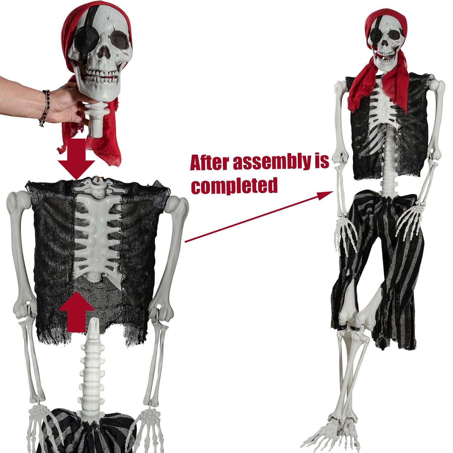 XONOR pirate skeleton seated on a chair posed for a spooky party scene