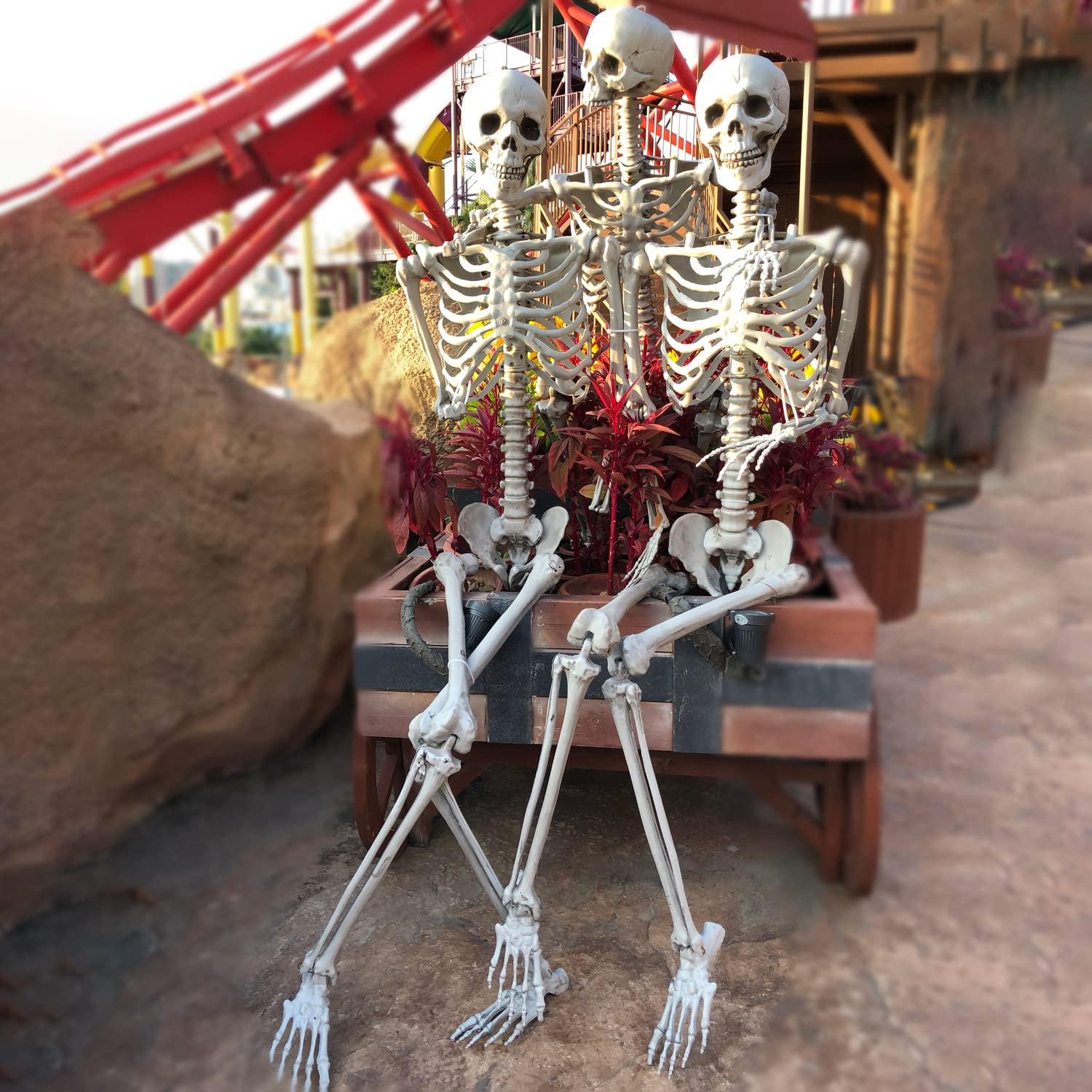 XONOR skeleton next to doorframe showing true 5.4 ft height for scale
