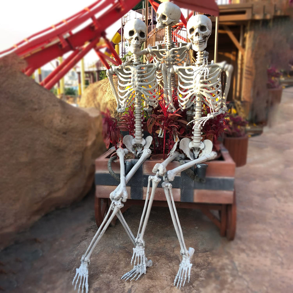 XONOR skeleton next to doorframe showing true 5.4 ft height for scale