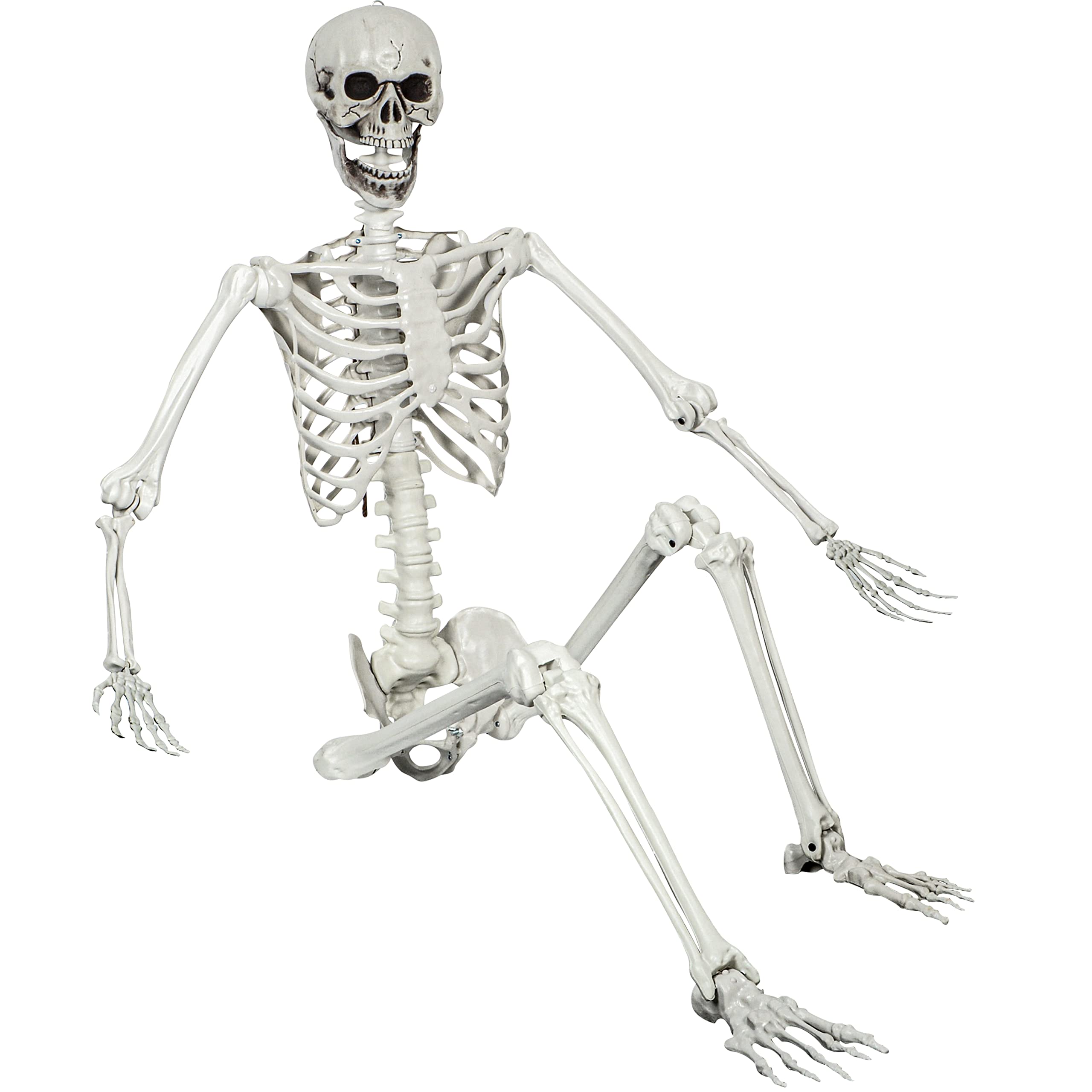 XONOR skeleton front view showing full life-size realism and easy setup