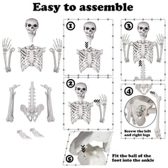 XONOR skeleton jaw detail highlighting opening jaw for expressive scenes