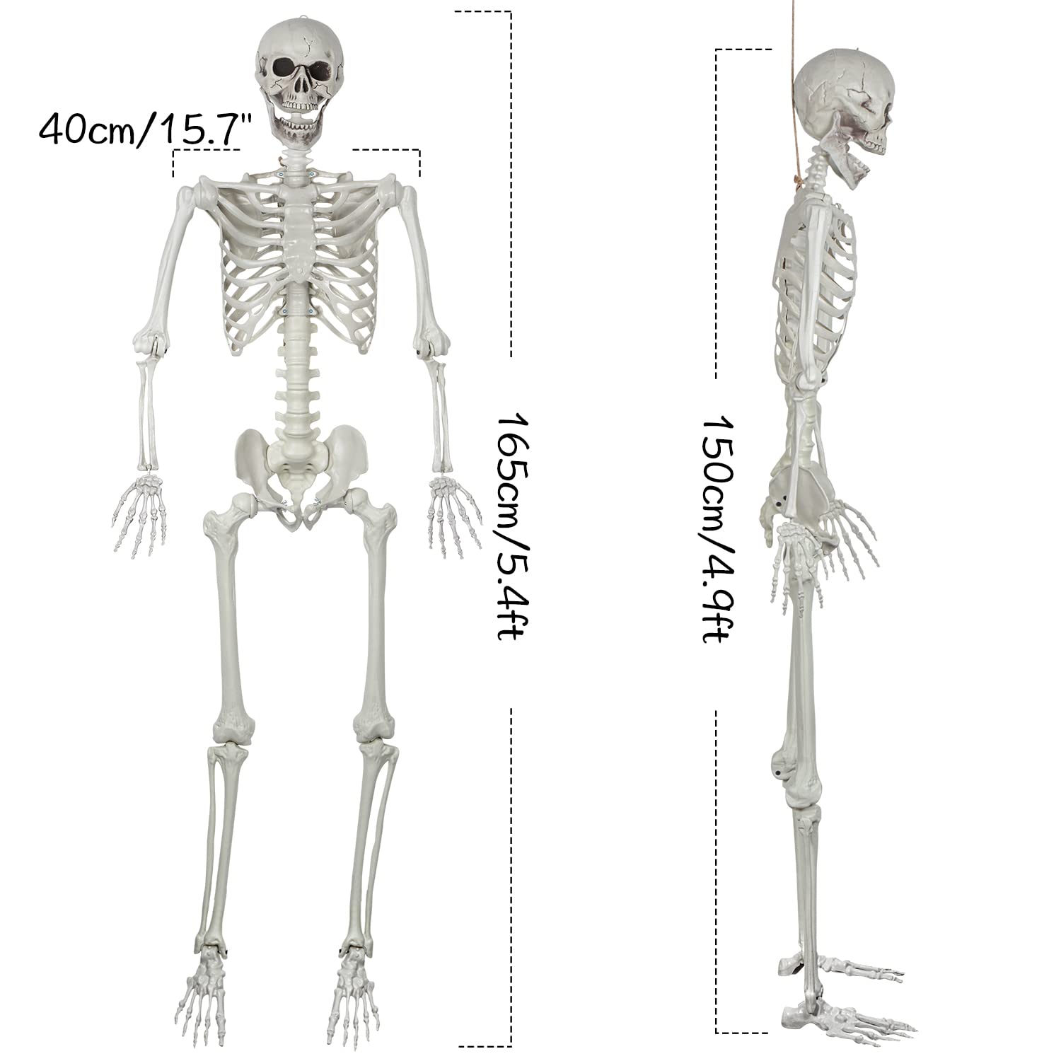 XONOR skeleton closeup of movable joints providing flexible posing