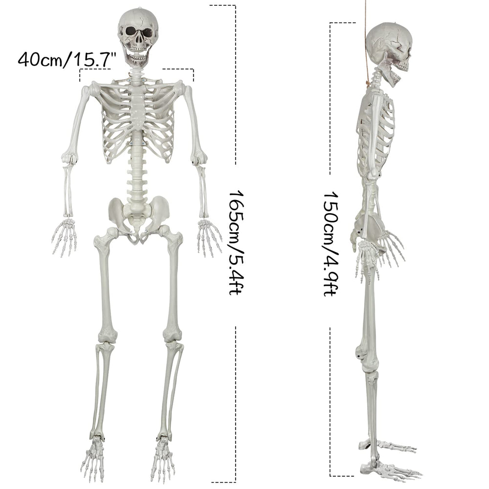 XONOR skeleton closeup of movable joints providing flexible posing