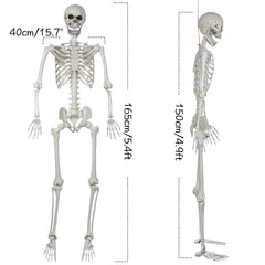 XONOR skeleton closeup of movable joints providing flexible posing